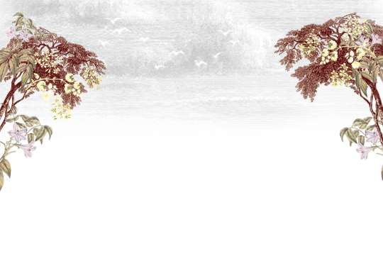 BAWAH SAMPUL1 6.png