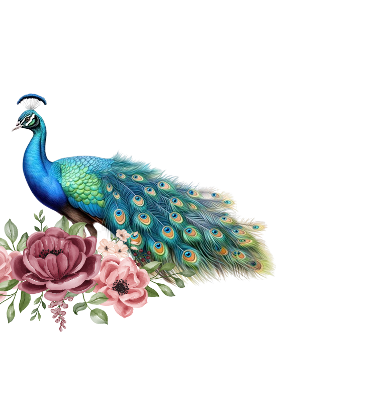 Flower Merak.png