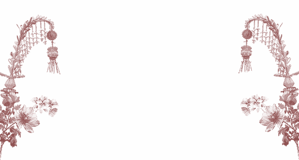 JANUR RED 2.png