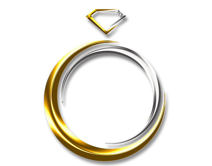 Logo e1624252406940 1 1.png